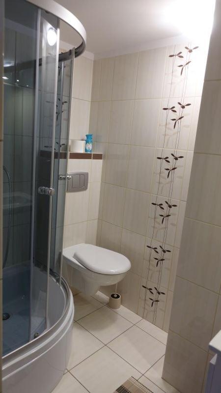 Pokoje Goscinne Lesny Zakatek Kepiaste Exterior foto